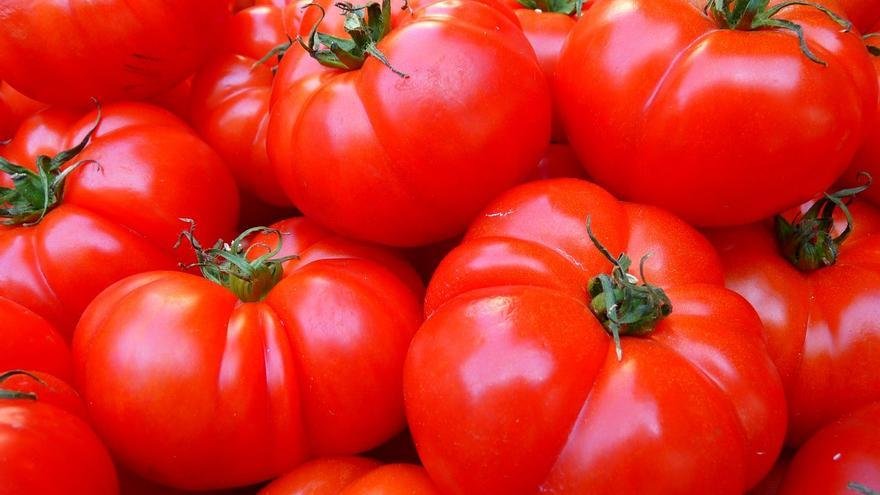 Adelgaza de forma natural con la dieta del tomate: el resultado te sorprenderá