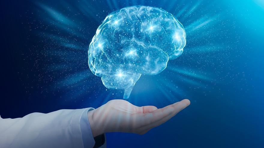 Enfermedades neurológicas: cuáles son, cómo nos afectan y cómo mantener un cerebro saludable