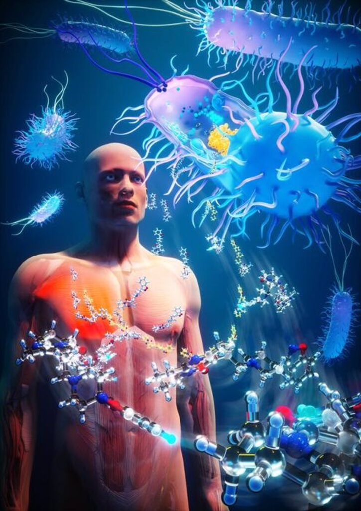 Nuevo hidrogel con propiedades de regeneración del tejido muscular derivadas de bacterias