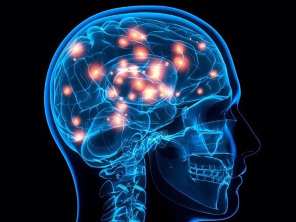 La dopamina activa por separado la motivación y el refuerzo de la conducta